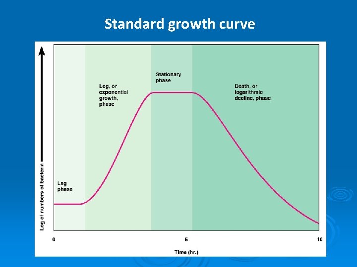 Standard growth curve 