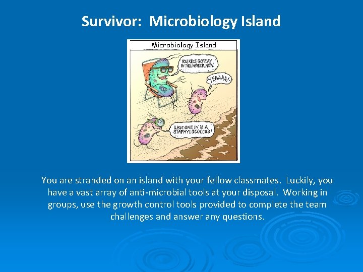 Survivor: Microbiology Island You are stranded on an island with your fellow classmates. Luckily,