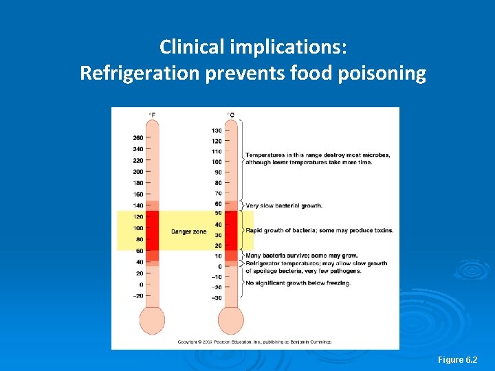 Clinical implications: Refrigeration prevents food poisoning Figure 6. 2 