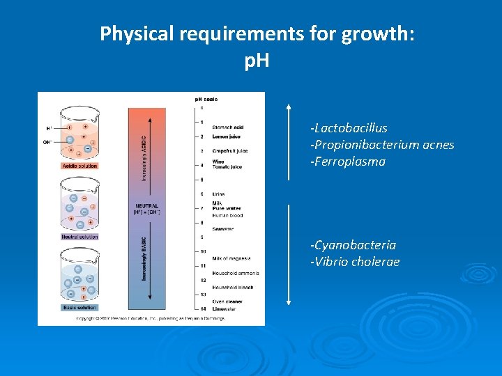 Physical requirements for growth: p. H -Lactobacillus -Propionibacterium acnes -Ferroplasma -Cyanobacteria -Vibrio cholerae 