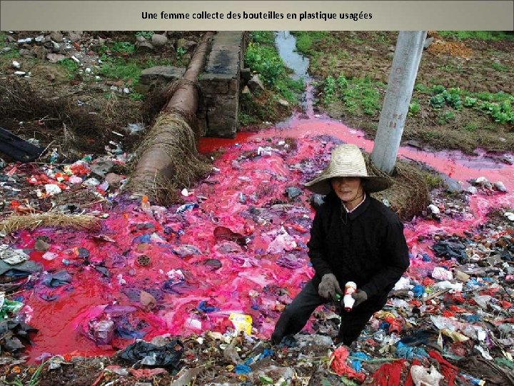 Une femme collecte des bouteilles en plastique usagées 