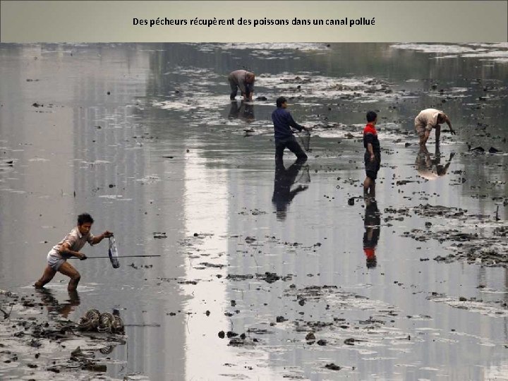 Des pécheurs récupèrent des poissons dans un canal pollué 