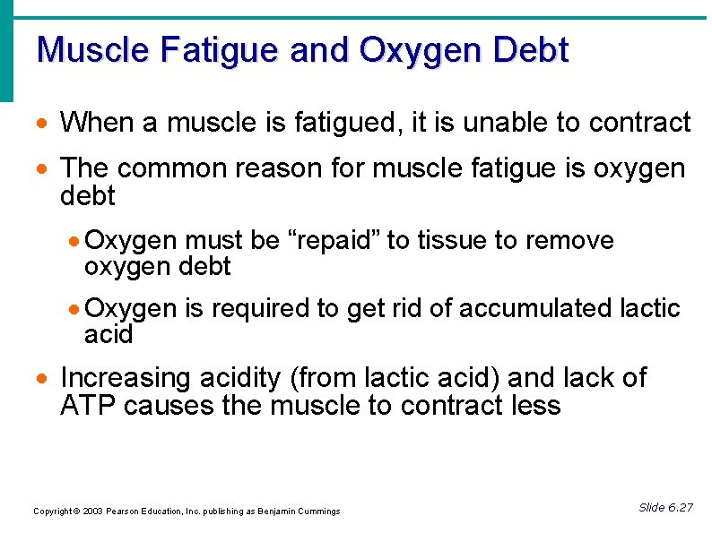 Muscle Fatigue and Oxygen Debt When a muscle is fatigued, it is unable to