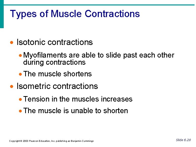 Types of Muscle Contractions Isotonic contractions Myofilaments are able to slide past each other