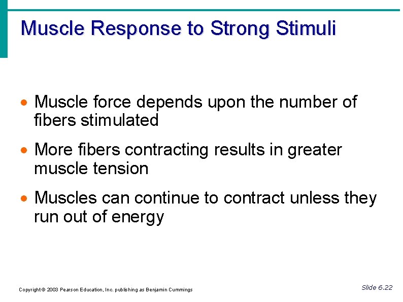 Muscle Response to Strong Stimuli Muscle force depends upon the number of fibers stimulated