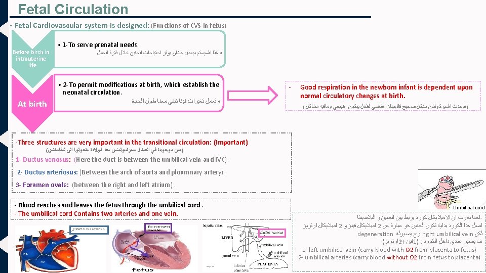 Fetal Circulation - Fetal Cardiovascular system is designed: (Functions of CVS in fetus) Before