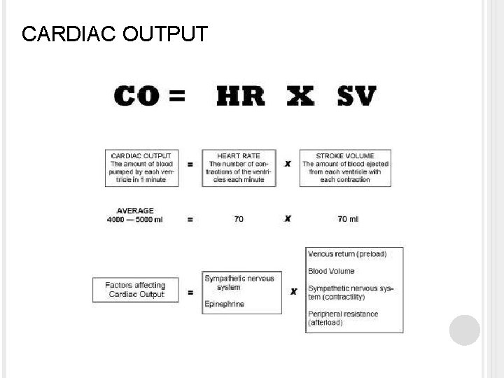 CARDIAC OUTPUT 