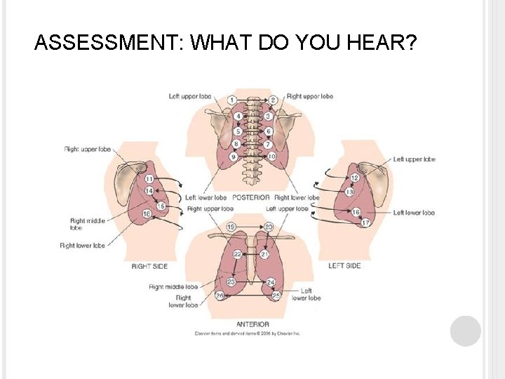 ASSESSMENT: WHAT DO YOU HEAR? 