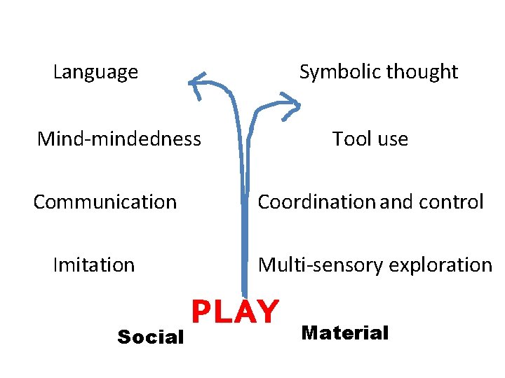 Language Symbolic thought Mind mindedness Communication Imitation Social Tool use Coordination and control Multi