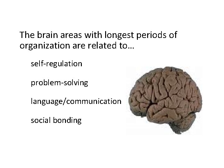 The brain areas with longest periods of organization are related to… self regulation problem