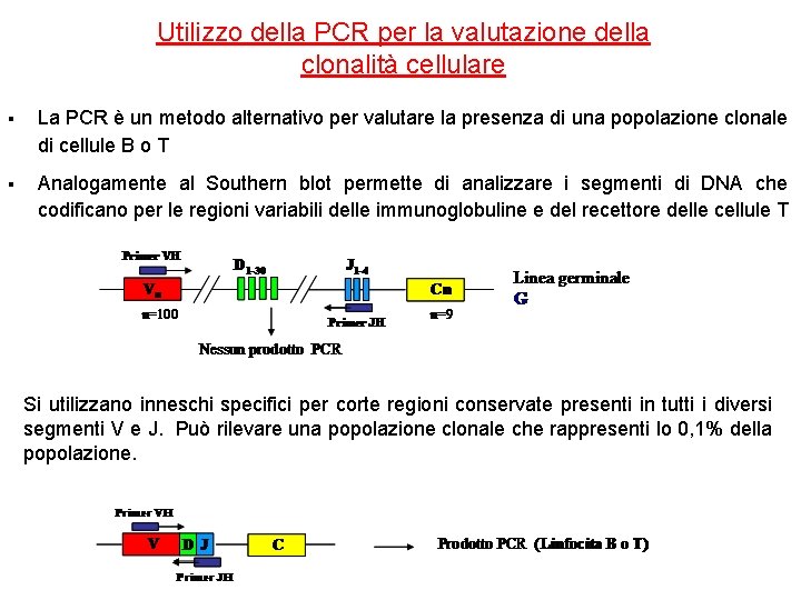 Utilizzo della PCR per la valutazione della clonalità cellulare § La PCR è un