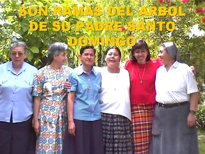 SON RAMAS DEL ARBOL DE SU PADRE SANTO DOMINGO 