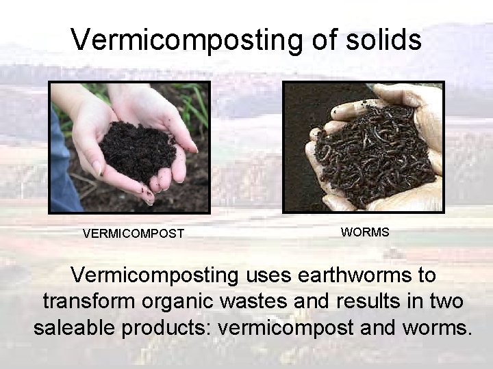 Vermicomposting of solids VERMICOMPOST WORMS Vermicomposting uses earthworms to transform organic wastes and results