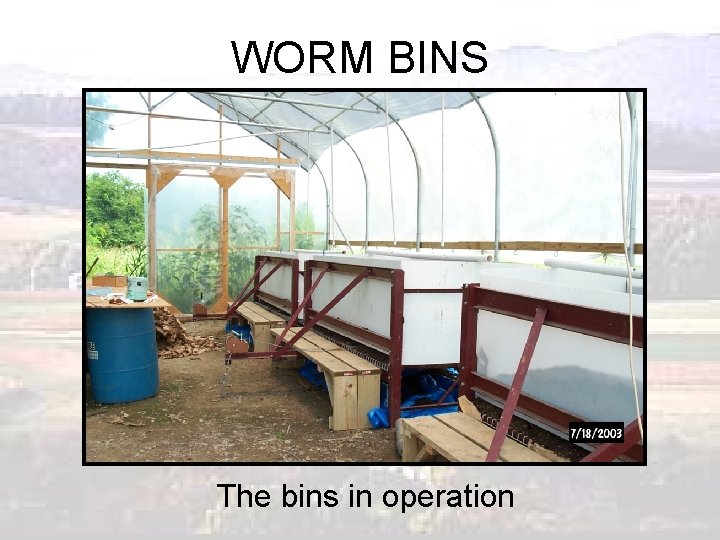 WORM BINS The bins in operation 