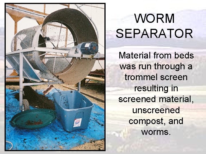 WORM SEPARATOR Material from beds was run through a trommel screen resulting in screened