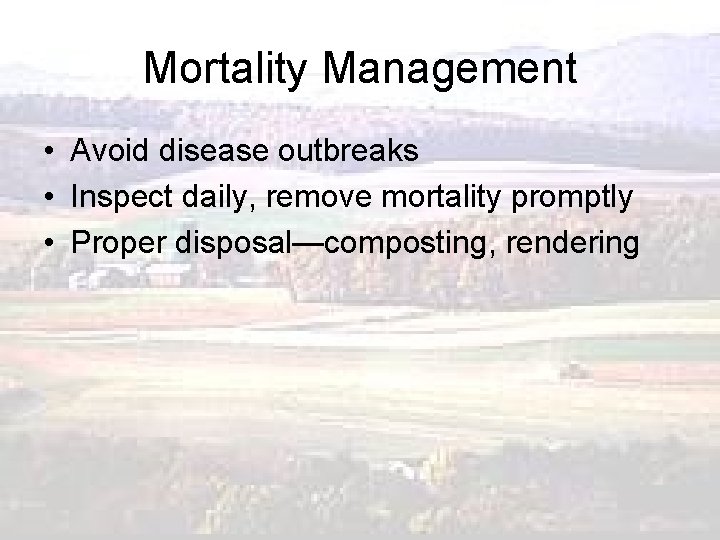 Mortality Management • Avoid disease outbreaks • Inspect daily, remove mortality promptly • Proper