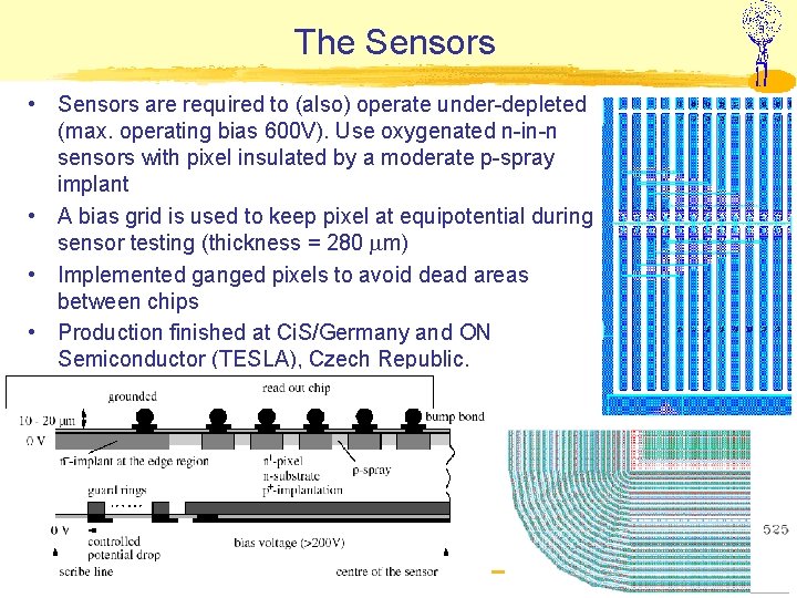 The Sensors • Sensors are required to (also) operate under-depleted (max. operating bias 600