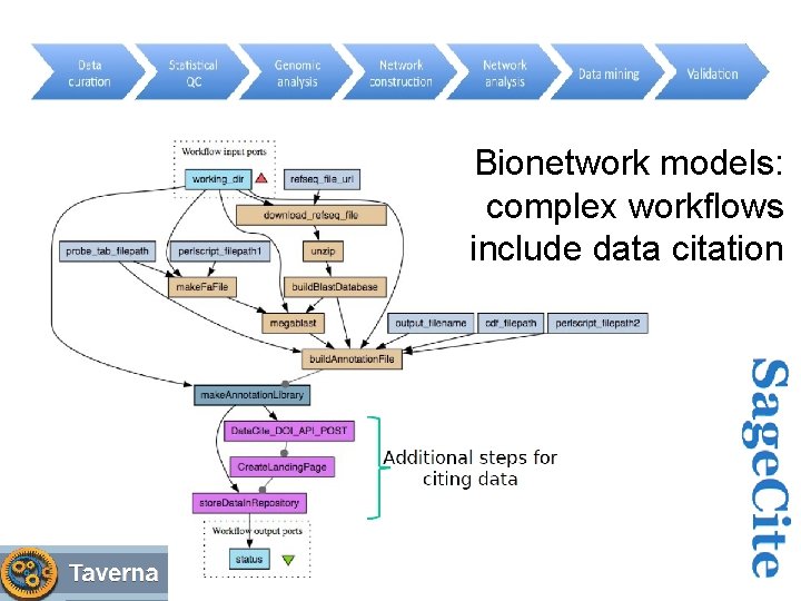 Bionetwork models: complex workflows include data citation 