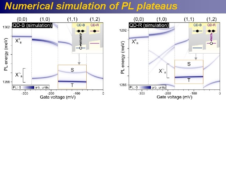 Numerical simulation of PL plateaus 