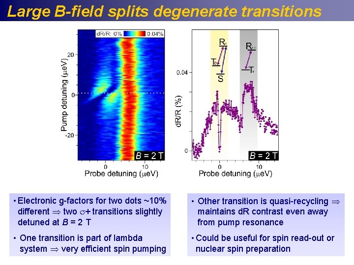 Large B-field splits degenerate transitions • Electronic g-factors for two dots ~10% different two