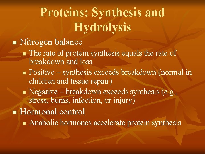 Proteins: Synthesis and Hydrolysis n Nitrogen balance n n The rate of protein synthesis