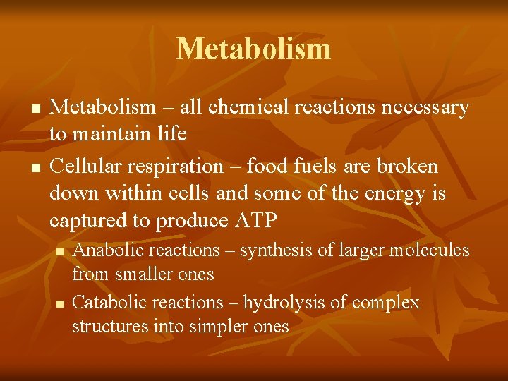 Metabolism n n Metabolism – all chemical reactions necessary to maintain life Cellular respiration