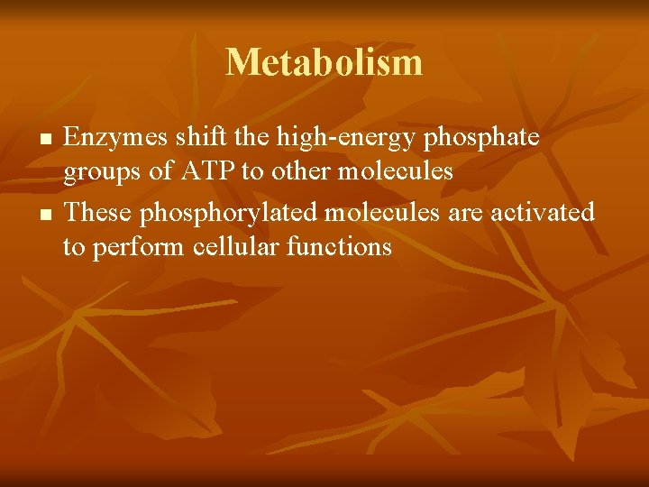 Metabolism n n Enzymes shift the high-energy phosphate groups of ATP to other molecules
