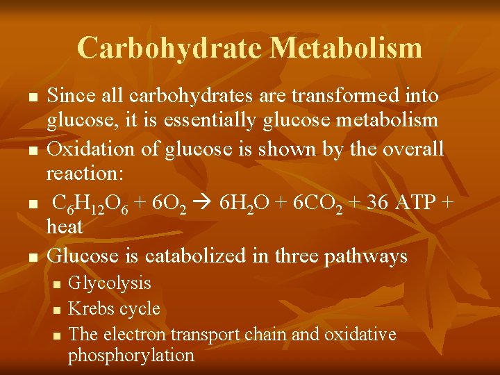 Carbohydrate Metabolism n n Since all carbohydrates are transformed into glucose, it is essentially