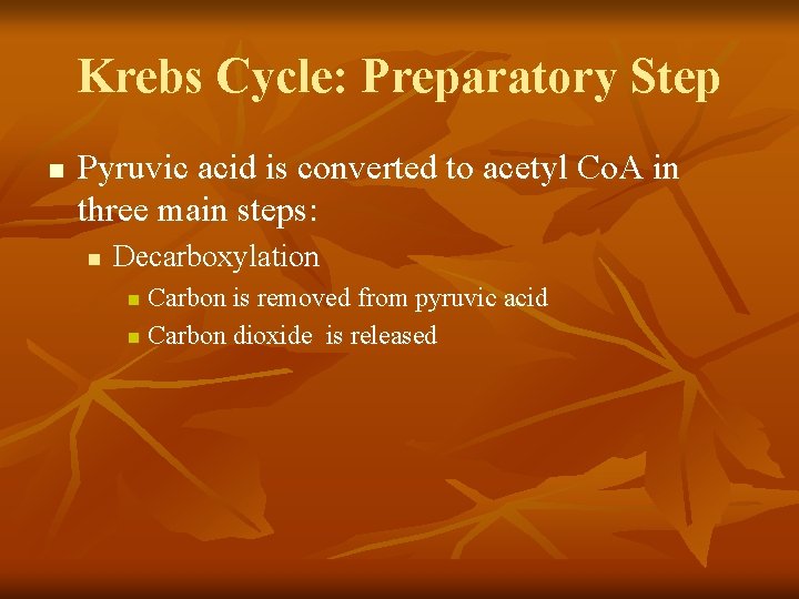 Krebs Cycle: Preparatory Step n Pyruvic acid is converted to acetyl Co. A in