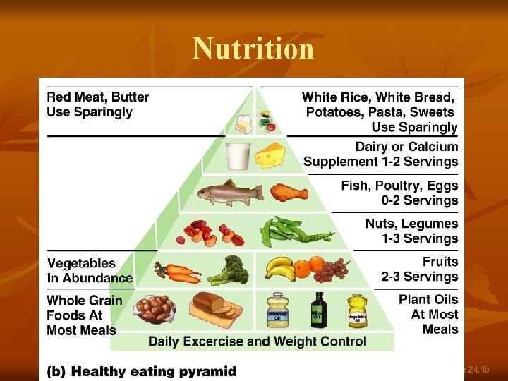 Nutrition Figure 24. 1 b 