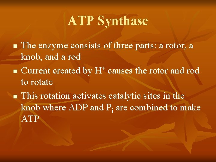 ATP Synthase n n n The enzyme consists of three parts: a rotor, a