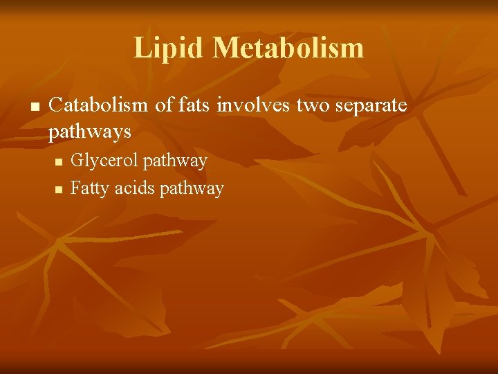 Lipid Metabolism n Catabolism of fats involves two separate pathways n n Glycerol pathway