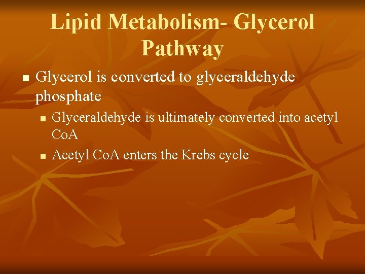 Lipid Metabolism- Glycerol Pathway n Glycerol is converted to glyceraldehyde phosphate n n Glyceraldehyde