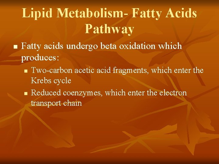 Lipid Metabolism- Fatty Acids Pathway n Fatty acids undergo beta oxidation which produces: n