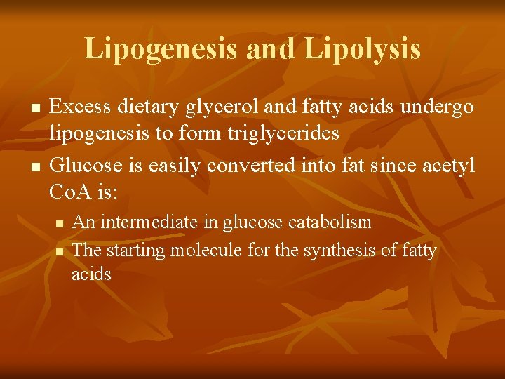 Lipogenesis and Lipolysis n n Excess dietary glycerol and fatty acids undergo lipogenesis to