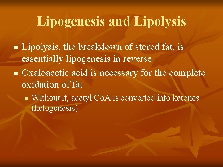 Lipogenesis and Lipolysis n n Lipolysis, the breakdown of stored fat, is essentially lipogenesis