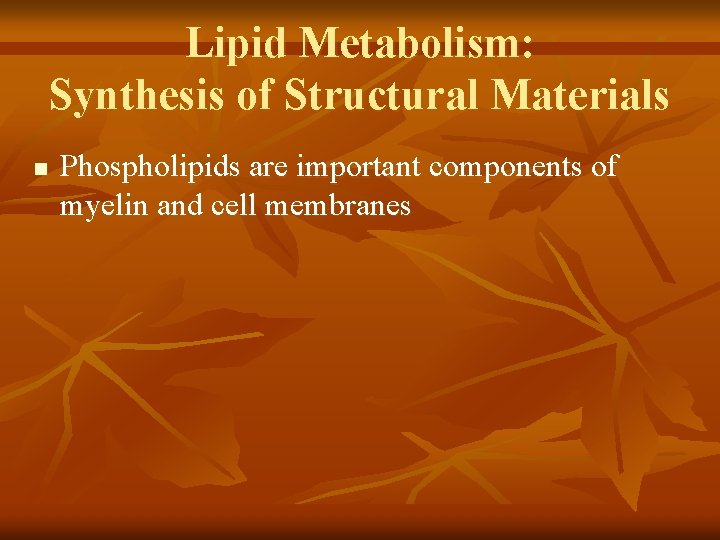 Lipid Metabolism: Synthesis of Structural Materials n Phospholipids are important components of myelin and