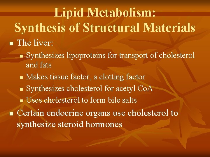 Lipid Metabolism: Synthesis of Structural Materials n The liver: n n n Synthesizes lipoproteins