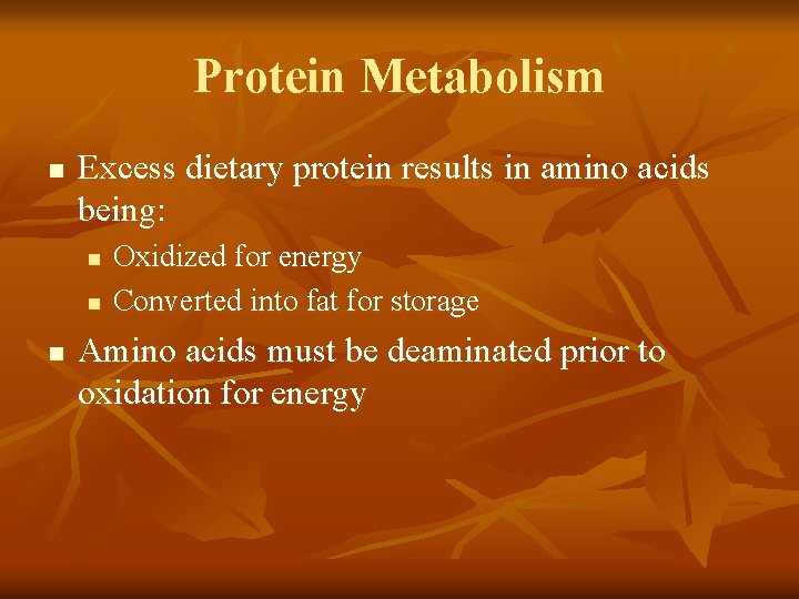 Protein Metabolism n Excess dietary protein results in amino acids being: n n n