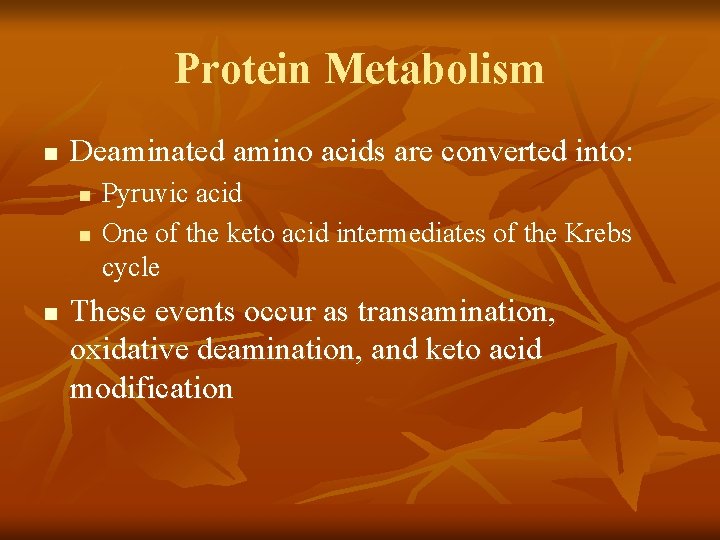 Protein Metabolism n Deaminated amino acids are converted into: n n n Pyruvic acid