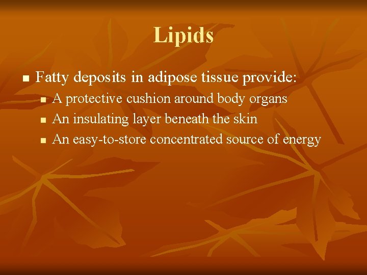 Lipids n Fatty deposits in adipose tissue provide: n n n A protective cushion