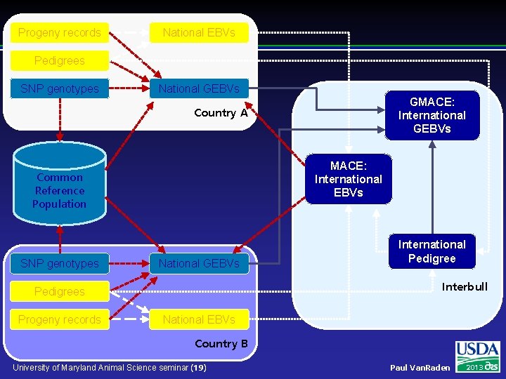 Progeny records National EBVs Pedigrees SNP genotypes National GEBVs GMACE: International GEBVs Country A