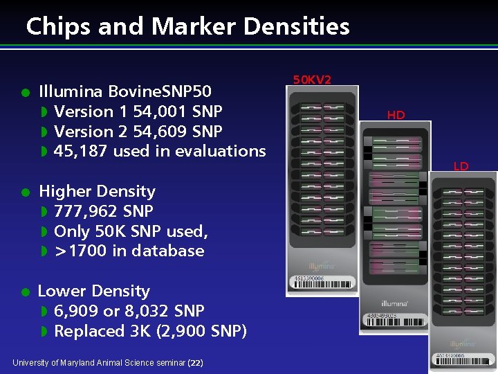 Chips and Marker Densities l l l Illumina Bovine. SNP 50 w Version 1