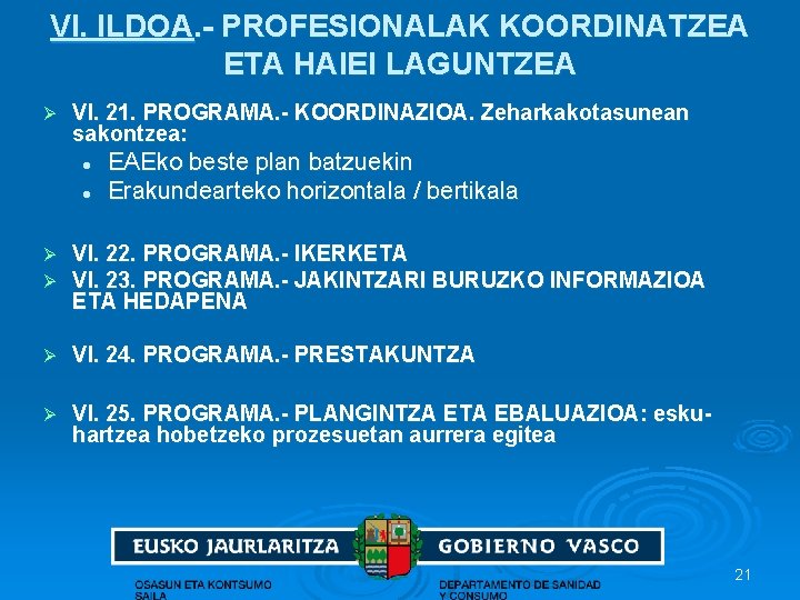 VI. ILDOA. - PROFESIONALAK KOORDINATZEA ETA HAIEI LAGUNTZEA Ø VI. 21. PROGRAMA. - KOORDINAZIOA.