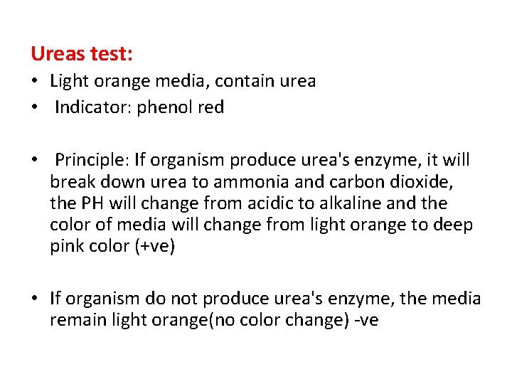 Ureas test: • Light orange media, contain urea • Indicator: phenol red • Principle: