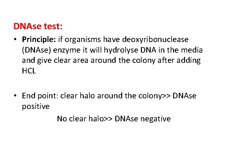 DNAse test: • Principle: if organisms have deoxyribonuclease (DNAse) enzyme it will hydrolyse DNA