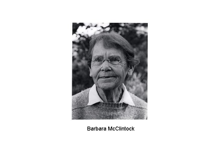 Barbara Mc. Clintock 