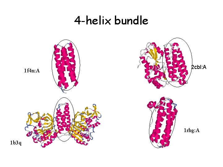 4 -helix bundle 1 f 4 n: A 2 cbl: A 1 rhg: A