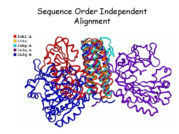 Sequence Order Independent Alignment 