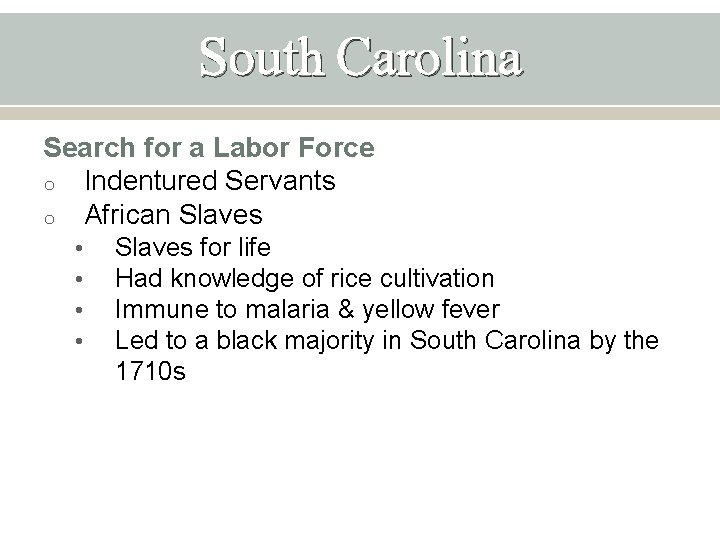 South Carolina Search for a Labor Force o Indentured Servants o African Slaves •